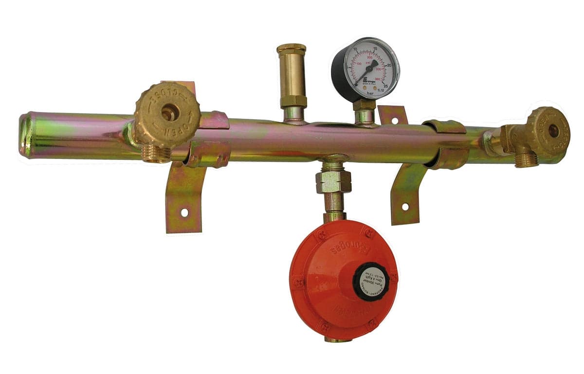Centralina Gas 2 Elementi Con Attacco Centrale- Kg. / H 4- Senza- Pezzi 1 in Accessori e parti per riscaldamenti BricoGo - Marano di Napoli, commercioVirtuoso.it