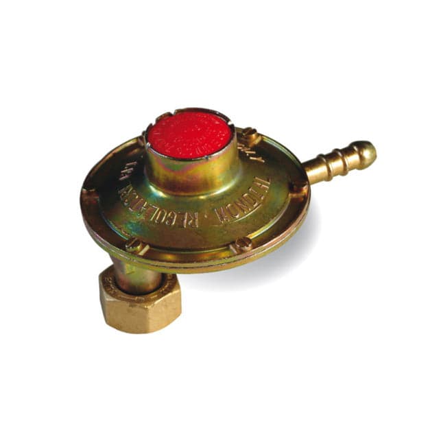 Regolatore Bassa Pressione Con Attacco Verticale- 1 Kg/H- Gnali- Pezzi 1 in Regolatori gas e pompe BricoGo - Marano di Napoli, commercioVirtuoso.it