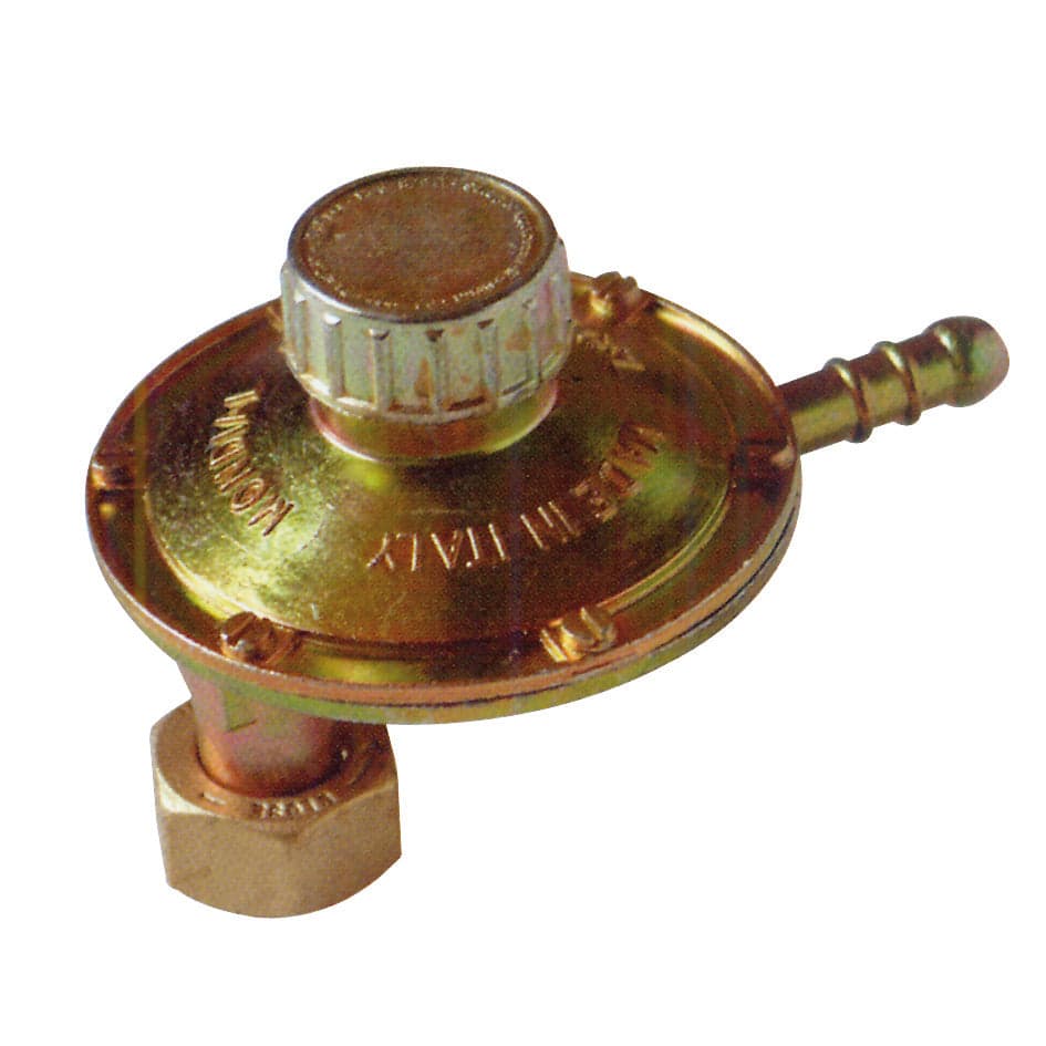 Regolatore Gas Con Tartaura Regolabile Attacco Verticale- 1 Kg/H- Gnali- Pezzi 1 in Regolatori gas e pompe BricoGo - Marano di Napoli, commercioVirtuoso.it