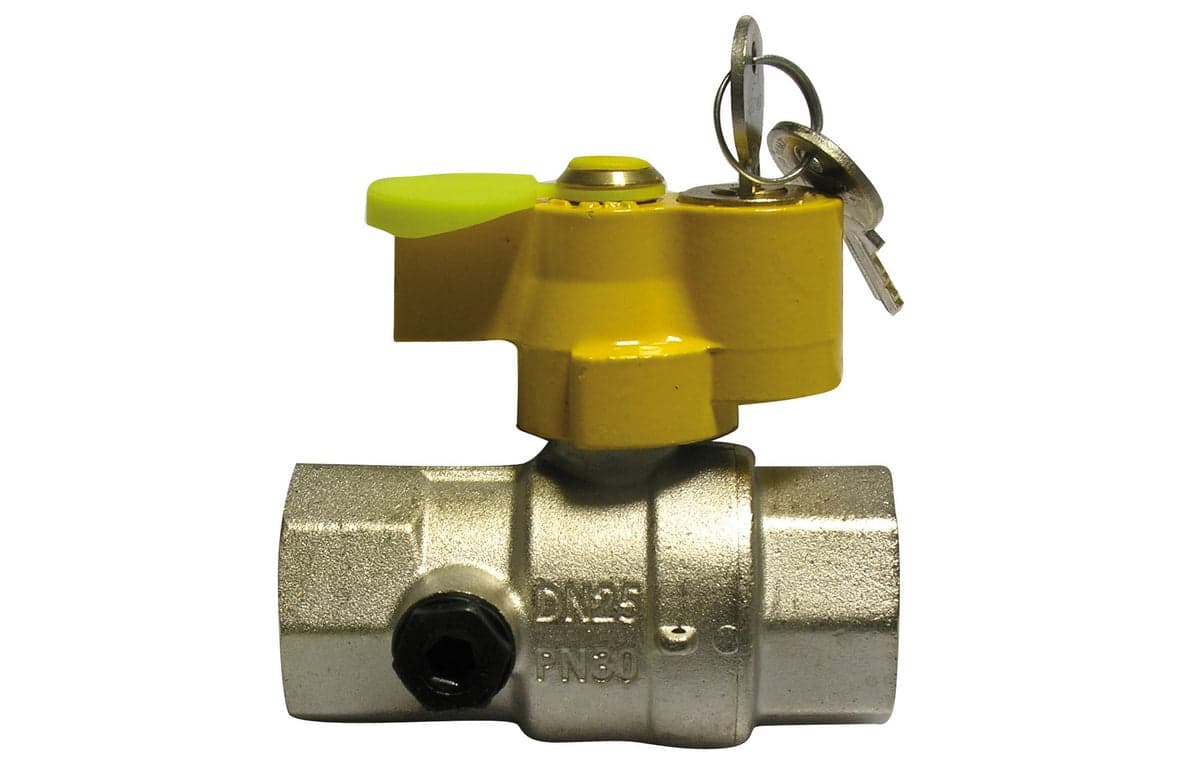 Valvola A Sfera Gas Ff Con Serratura E Presa Pressione- 1 Dn 25- Enolg- Pezzi 1 in Accessori BricoGo - Marano di Napoli, commercioVirtuoso.it