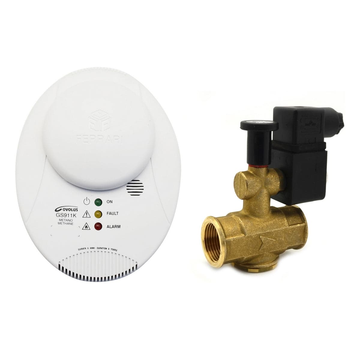 Kit Rilevatore Metano Mod. 040190 + Ev Na 3/4 Mod. 042301- Ferra- Pezzi 1 in Rilevatori di gas BricoGo - Marano di Napoli, commercioVirtuoso.it