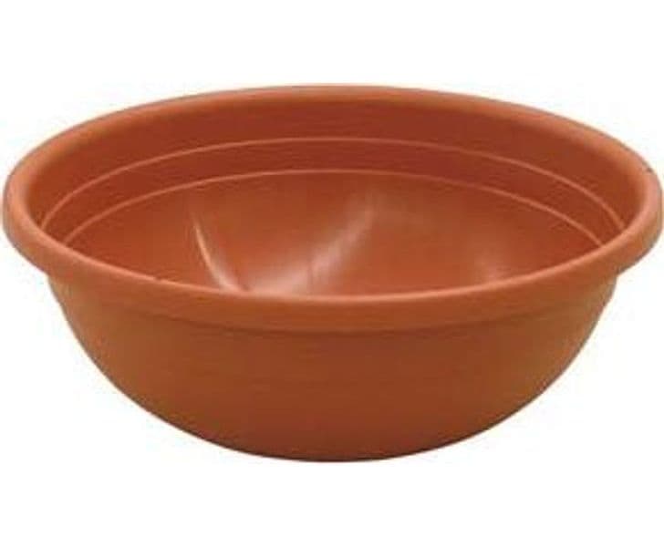 Vaso Ciotola Clivia Ø 35 mm CMX13H. Ics 6 Pezzi