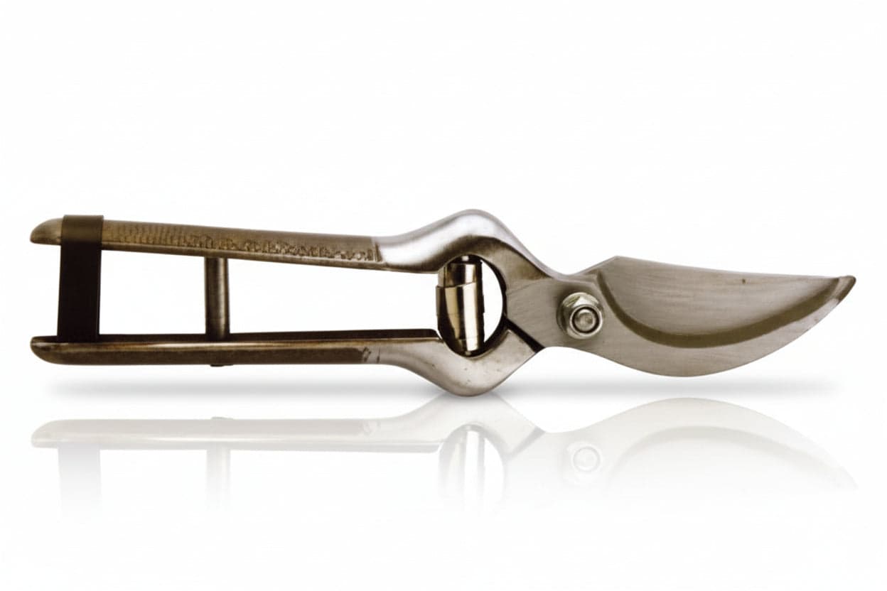 Forbice Pota Lame in Acciaio Chiusura Cuoio 23 cm Molla Bovolo 6 Pezzi