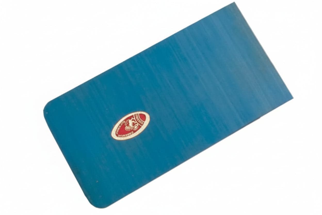SPATOLE LISCE SENZA MANICO PER CARROZZIERI- - mm.80 - 54365 - 12 pezzi AUSONIA