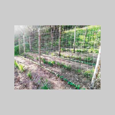 RETE RAMPICANTE IDEAL STAR 2x100 mt - colore bianco - IDEAL STAR