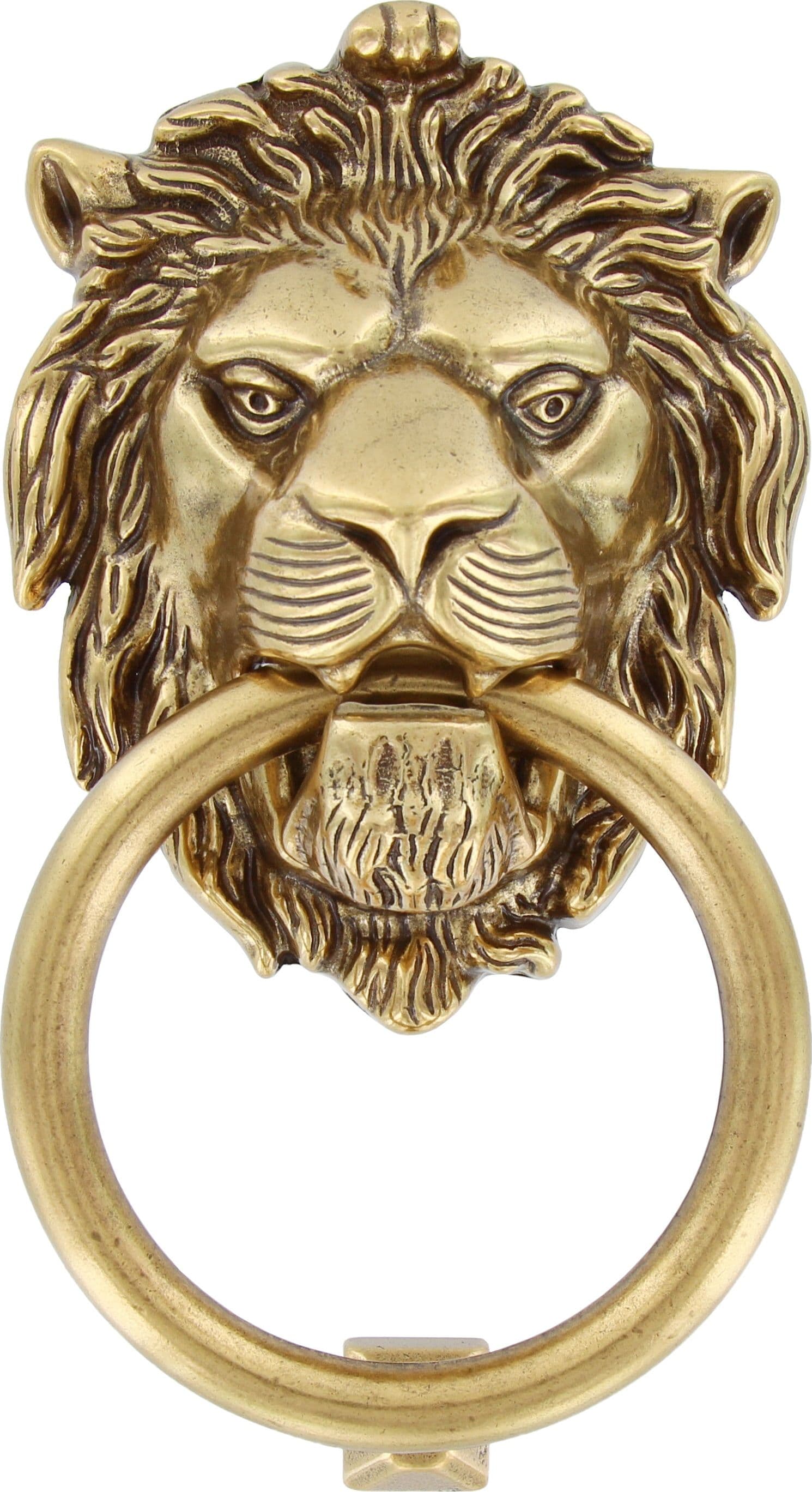 Battente Ottone Leone 26027 109 x 190 mm Oro Val
