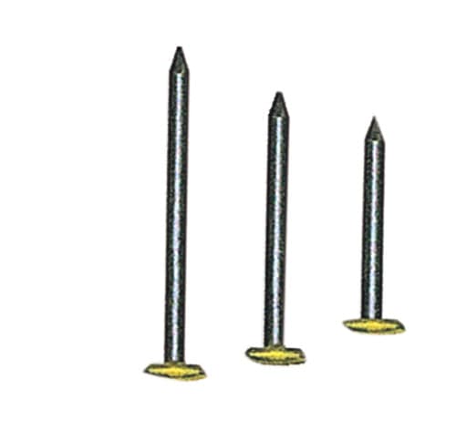 CHIODI PER QUADRI TESTA RICOP OTT 2X25 MM DA 100 PZ- 10,0 confezione