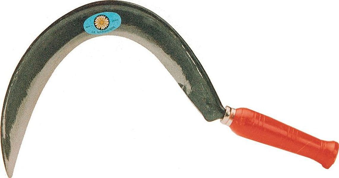 Margherita Falciola 652 a 44 cm x 33 mm 0