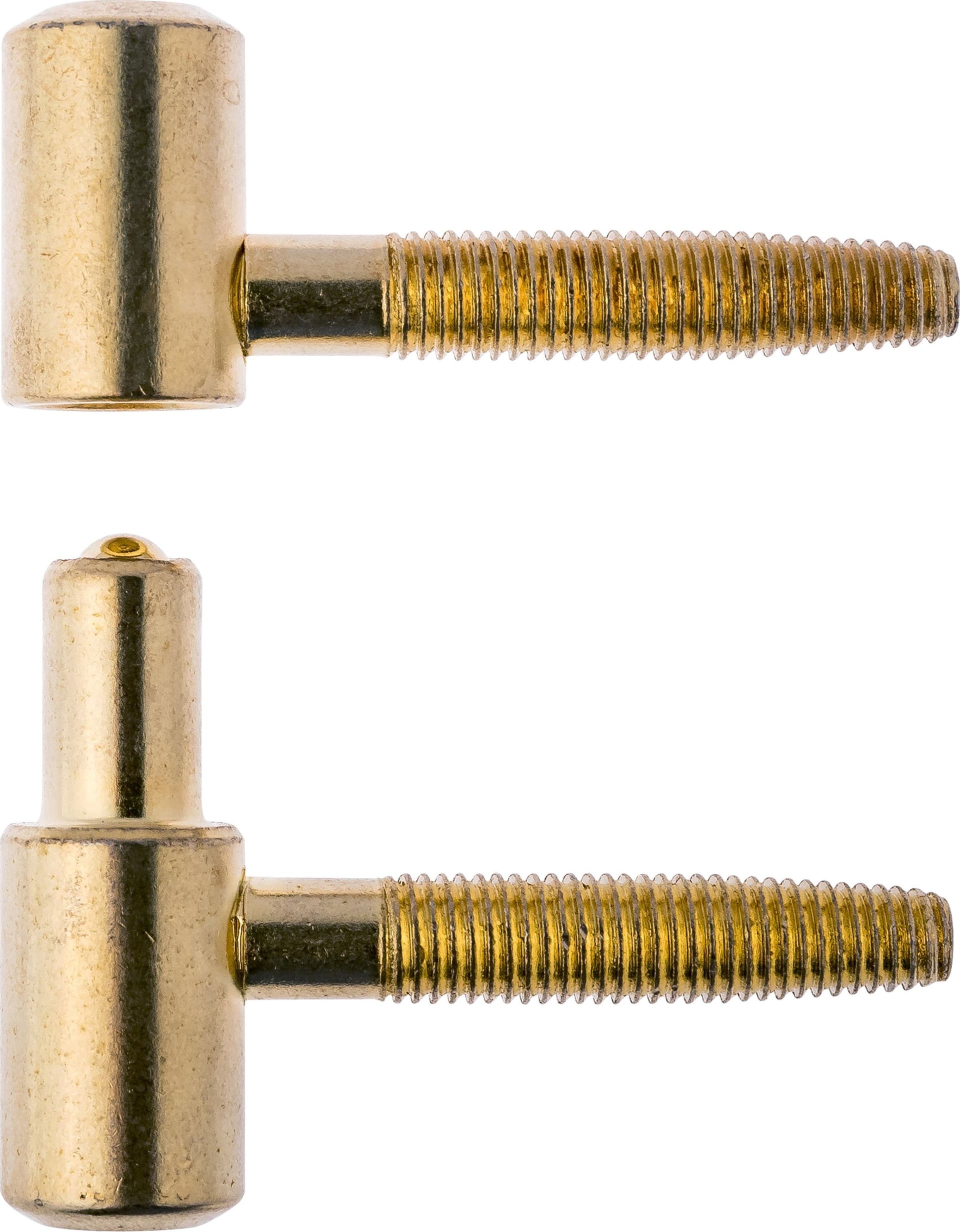 Cerniera Anuba Acciaio Ottonato Ø 16 mm* 50 Pezzi
