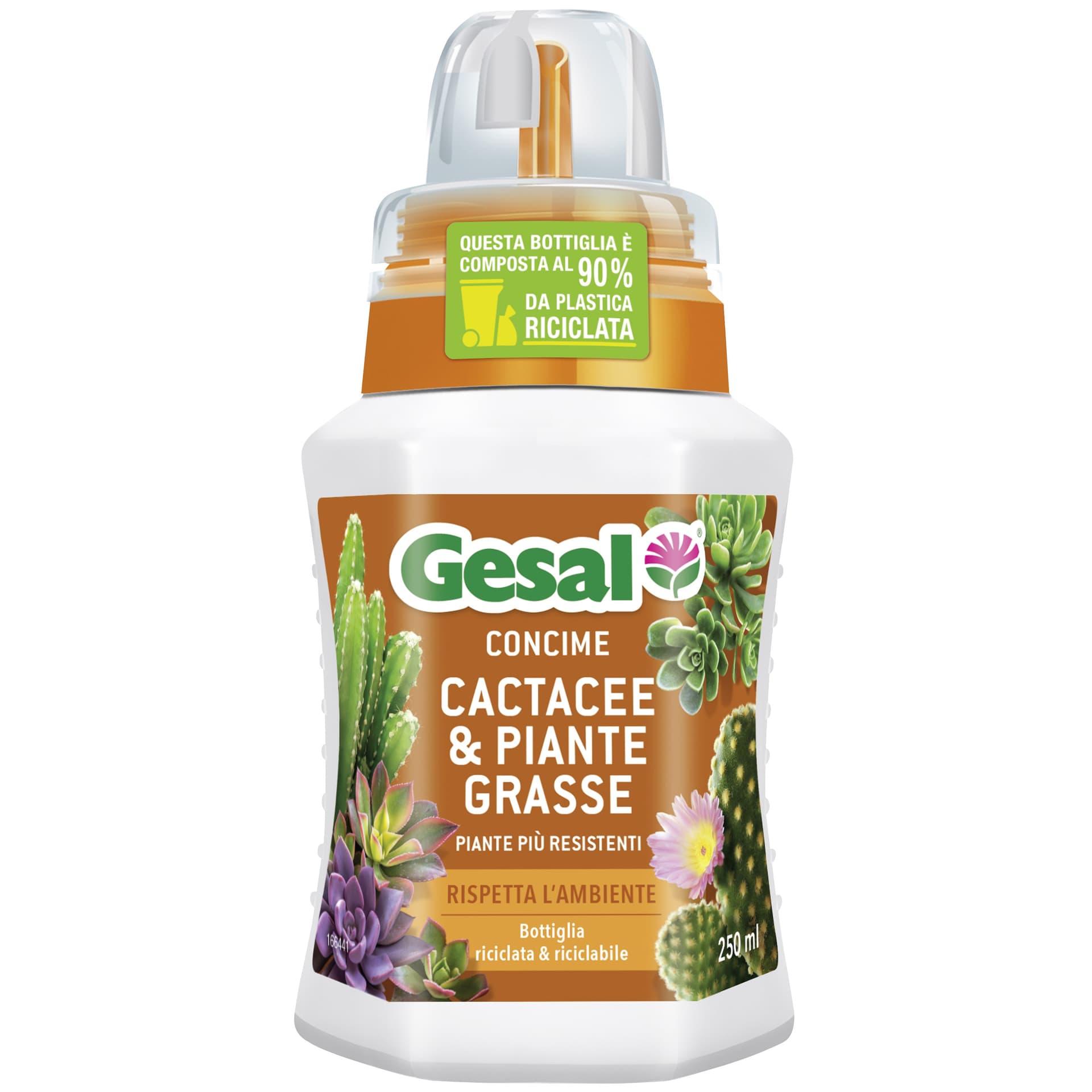 Fertilizzanti per cactus e piante grasse