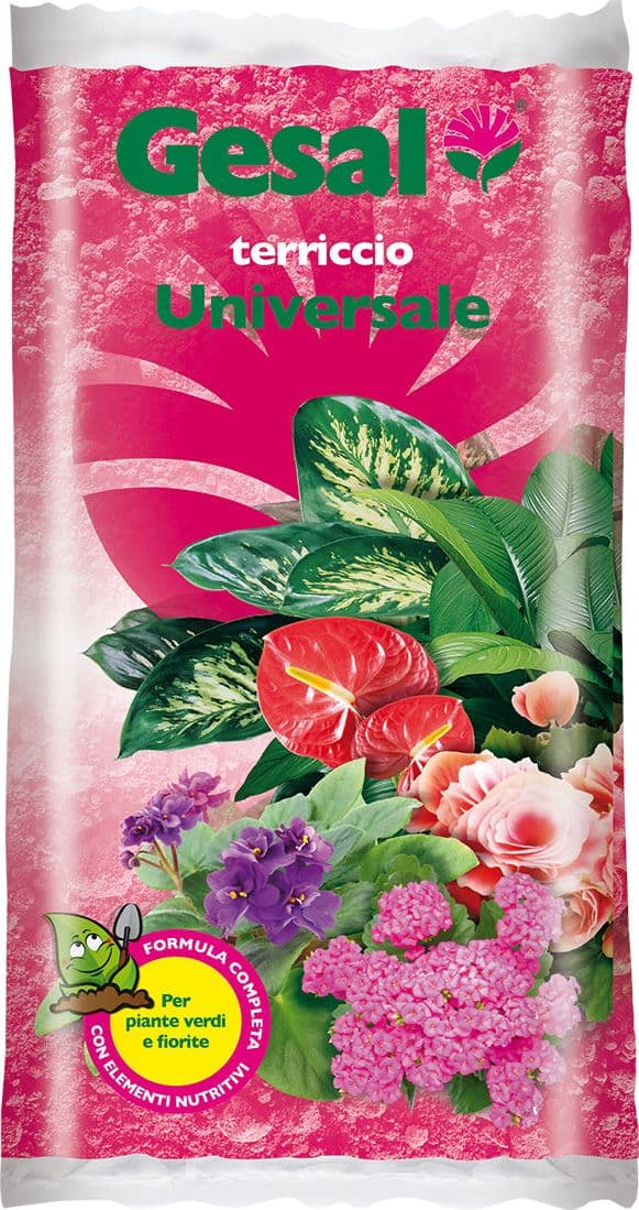 Gesal Terriccio Universale 10 l Compo Italia