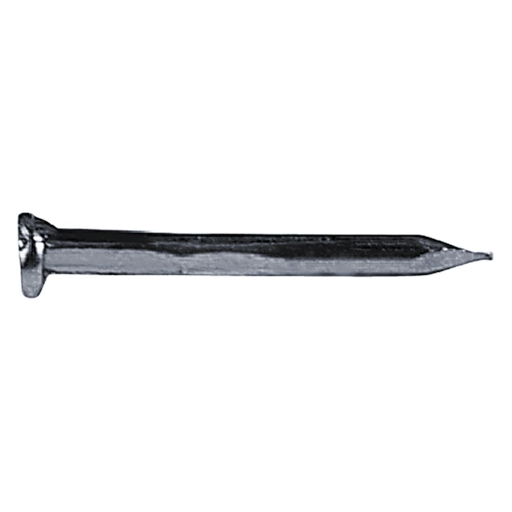 Chiodi Testa Piana Larga Tpl 50 gr 1,5 x 12 mm