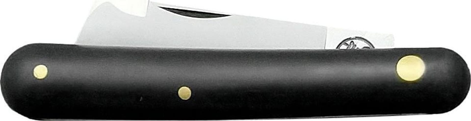 2 Buoi Coltello Da Innesto 202 Susi Cm. 17 in Coltelli da giardino BricoGo - Marano di Napoli, commercioVirtuoso.it