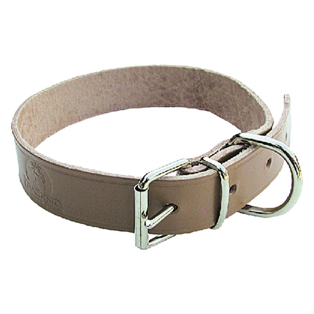 Collare per Cane Larg. Lung. 6 Pezzi 20 mm 44 cm