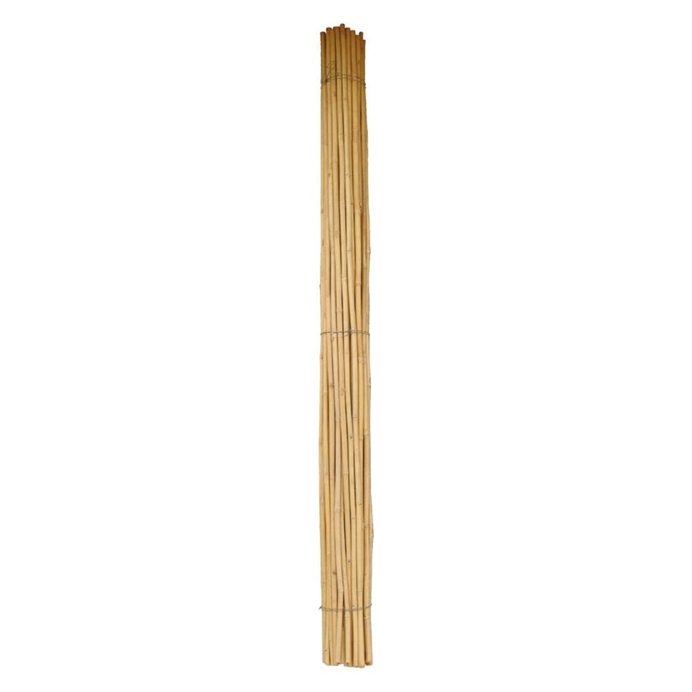 CANNA BAMBU' Ø 28/30 mm. circa - h. mt 2,1- 50 pezzi  - BricoGo