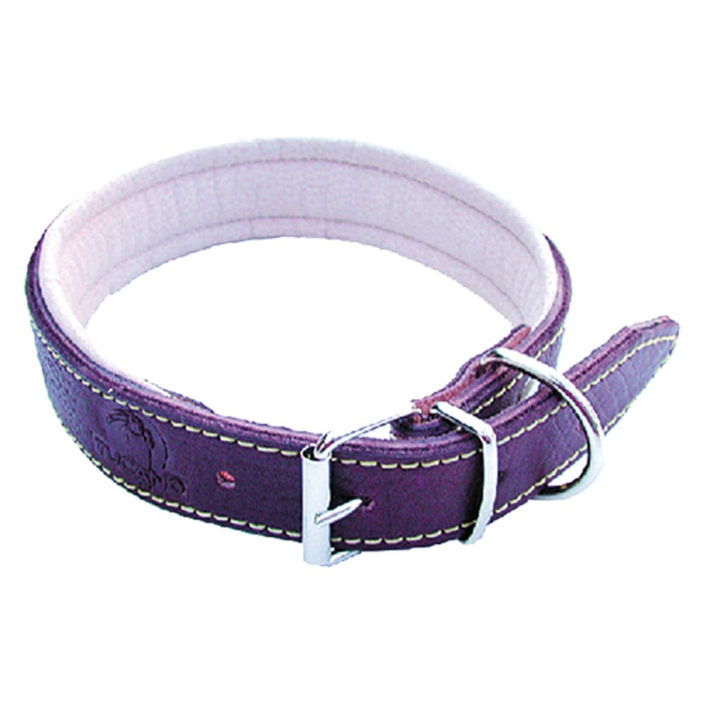 Collare per Cane Larg. Lung. 20 mm 45 cm
