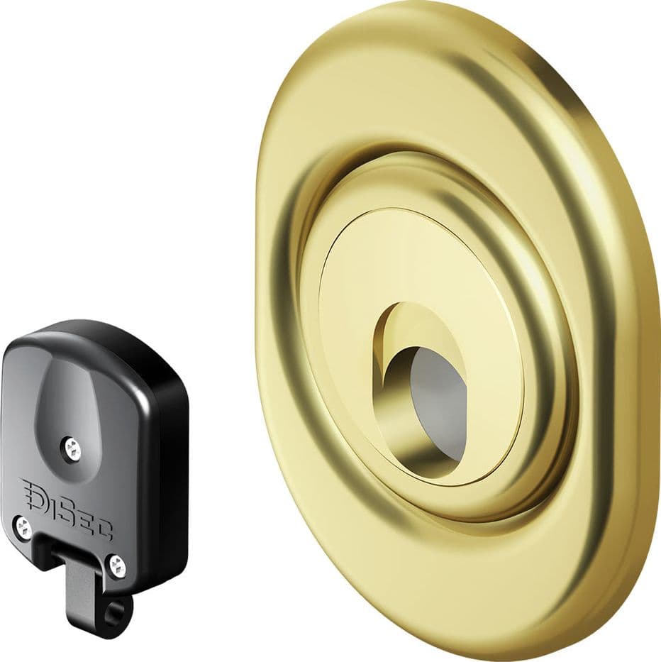 DEFENDER MAGNETICO PER SERRATURE 'MAG 3G 2M' pvd ottone  - DISEC
