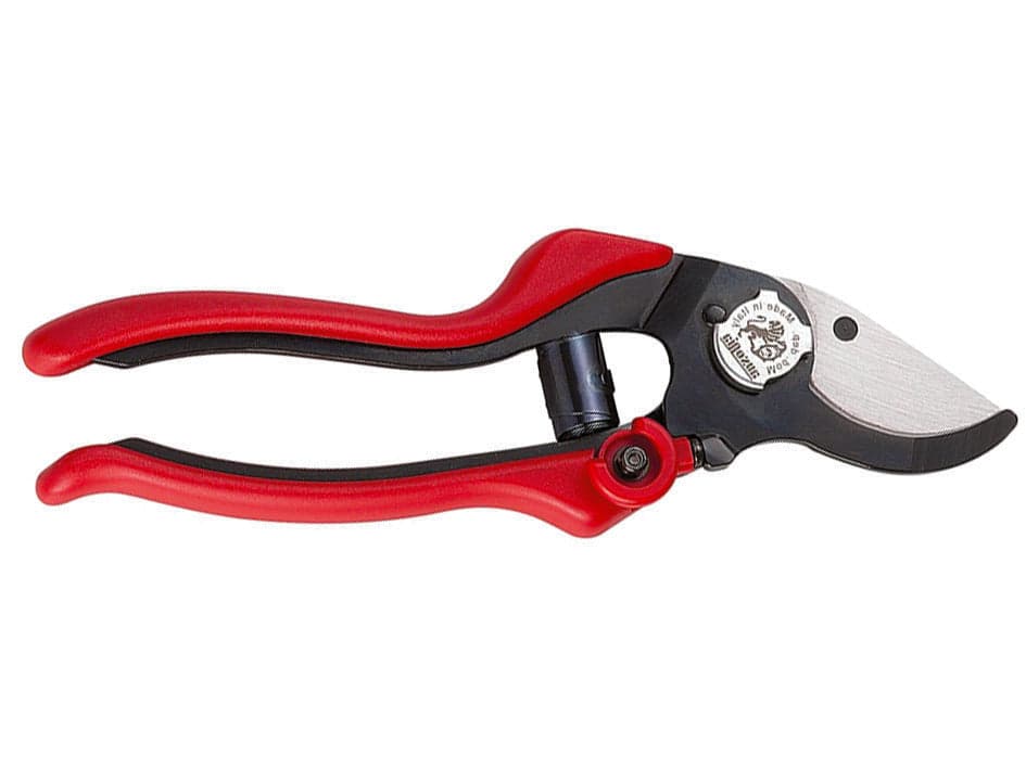Forbice Pota Professionale Taglio Passante Evo 2 19,5 cm 31082 Ausonia