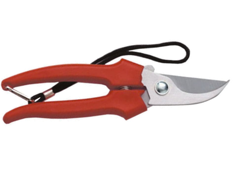 Forbice Raccolta a Mezzaluna 19 cm 35031 Ausonia 12 Blister