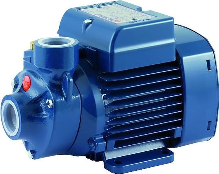 Elettropompa Periferica in Ghisa Monofase Pkm 0,50 0,37 kW 230 V Pedrollo