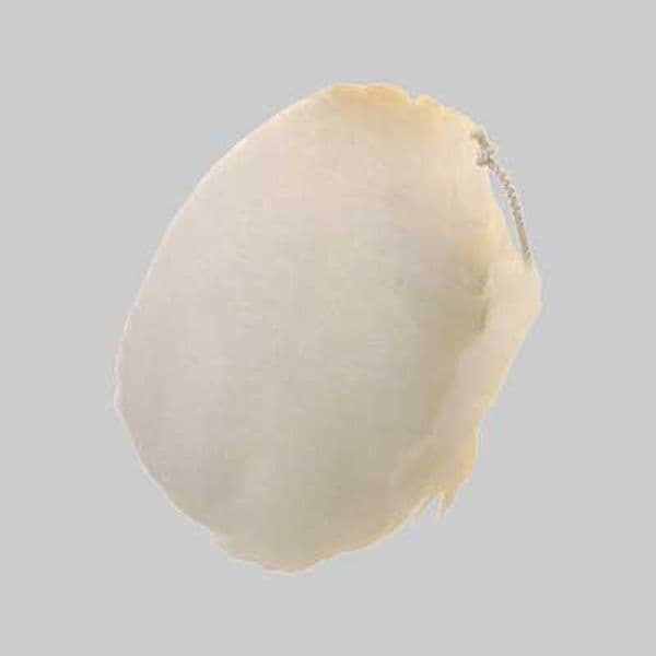 Cuffia con Laccio di Chiusura Ø 190 mm Pg Professional