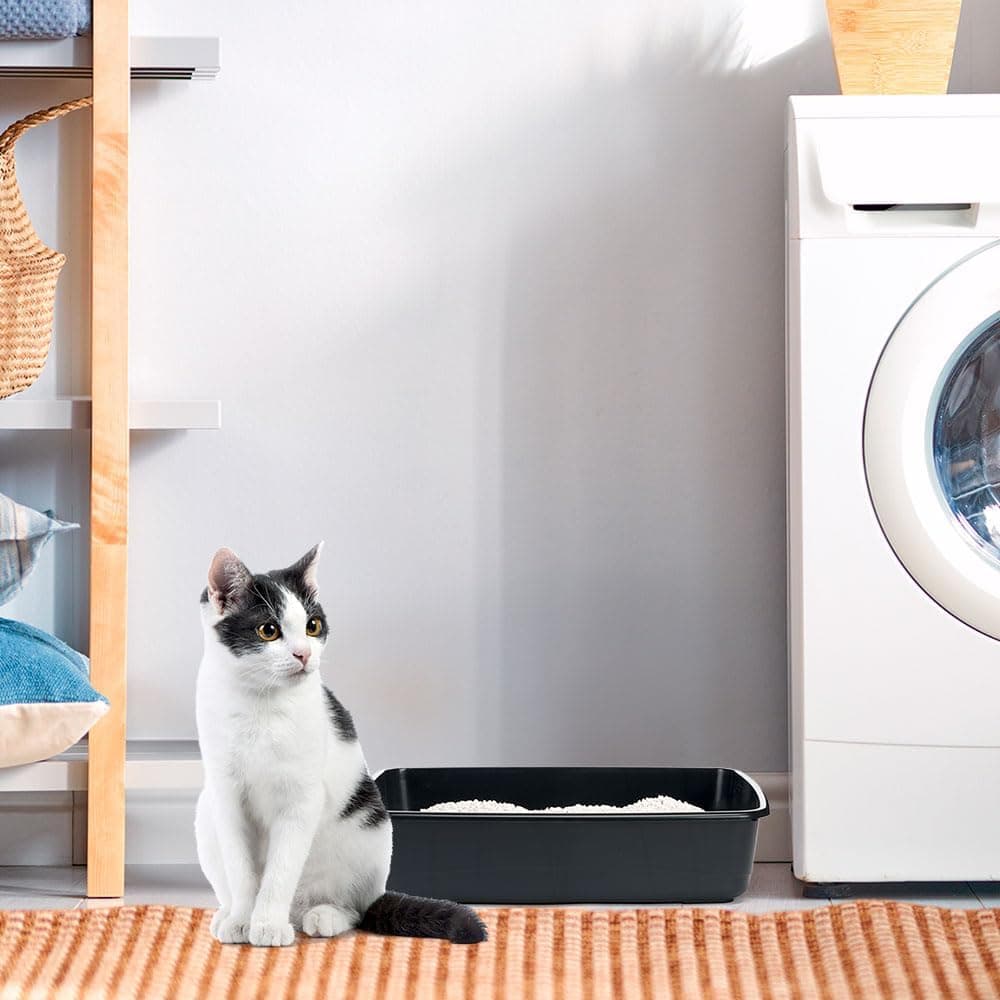 Toilette Aperta Per Cani E Gatti Nip 20 In Plastica Riciclata 54,5X39,5X12,5 Cm Colori Assortiti Ferplast in Contenitori per lettiere e cassette igieniche BricoGo - Marano di Napoli, commercioVirtuoso.it