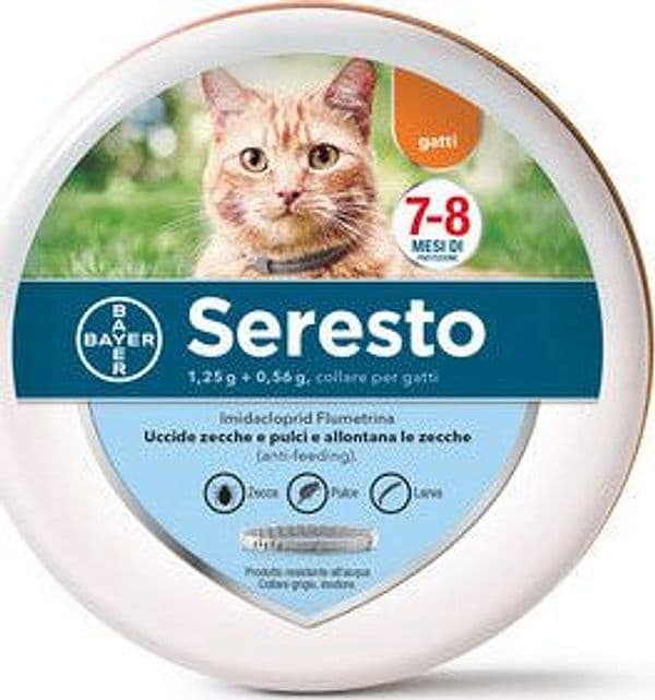 Collare Gatti Seresto Meno di 8 kg Bayer