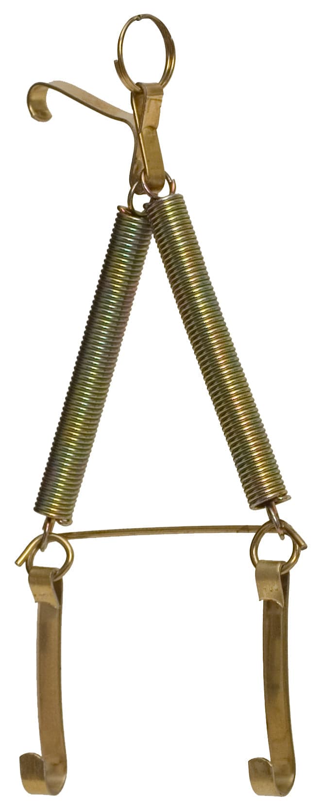 Appendipiatti a Molla Tipo 1 cm 12 16 10 Pezzi