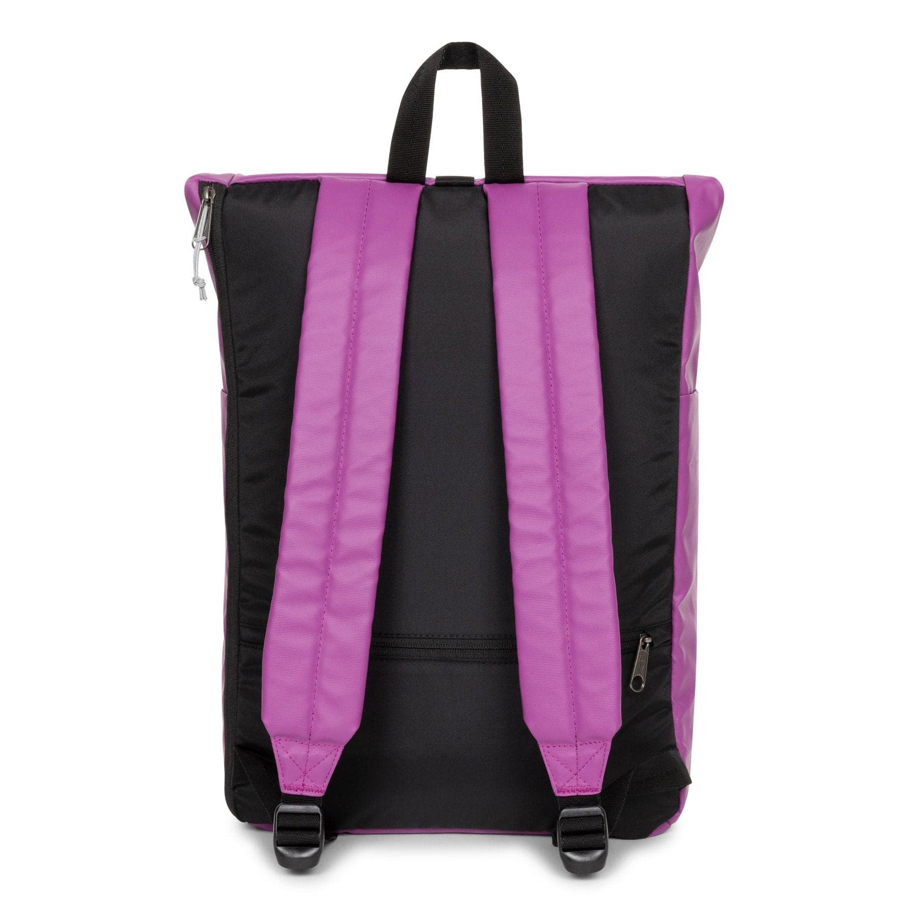 EASTPAK Zaino Adulto unisex Eastpak UP ROLL Tarp Fig da donna in Zaini Casual Drestige - Casamassima, commercioVirtuoso.it