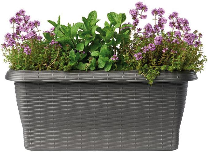 Bama Fioriera Rettangolare Paglia Normal Col. Antracite Cm. 40X20X17,5 H in Vasi tradizionali BricoGo - Marano di Napoli, commercioVirtuoso.it