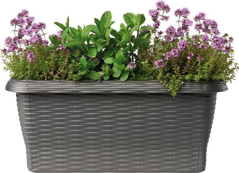 Bama Fioriera Rettangolare Paglia Normal Col. Antracite Cm. 50X20X17,5 H in Vasi tradizionali BricoGo - Marano di Napoli, commercioVirtuoso.it
