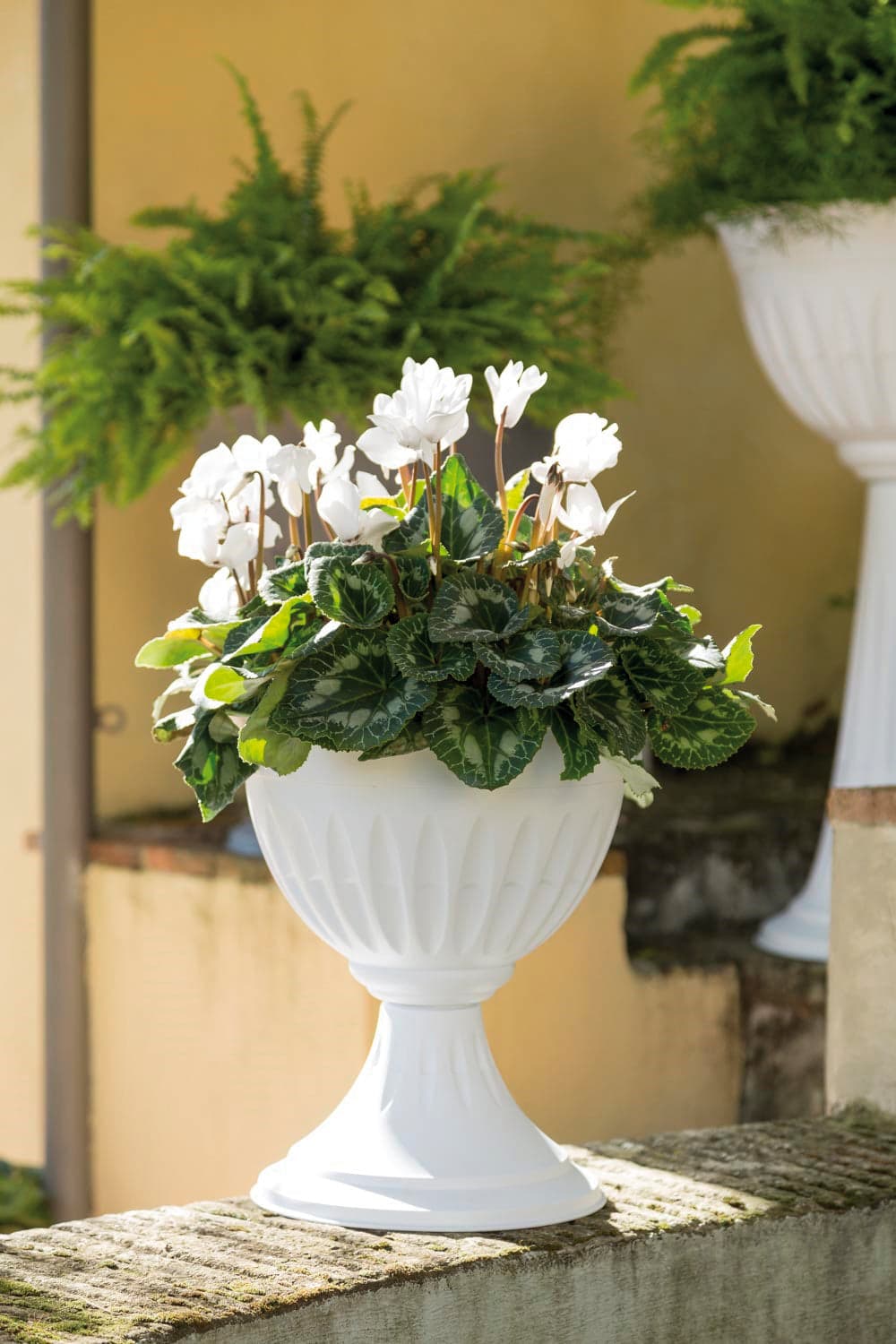 Bama Vaso A Calice Alba Col. Bianco Ø Cm. 43X46 H in Vasi tradizionali BricoGo - Marano di Napoli, commercioVirtuoso.it