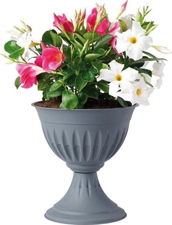 Bama Vaso A Calice Alba Col. Grigio Ø Cm. 43X46 H in Vasi BricoGo - Marano di Napoli, commercioVirtuoso.it