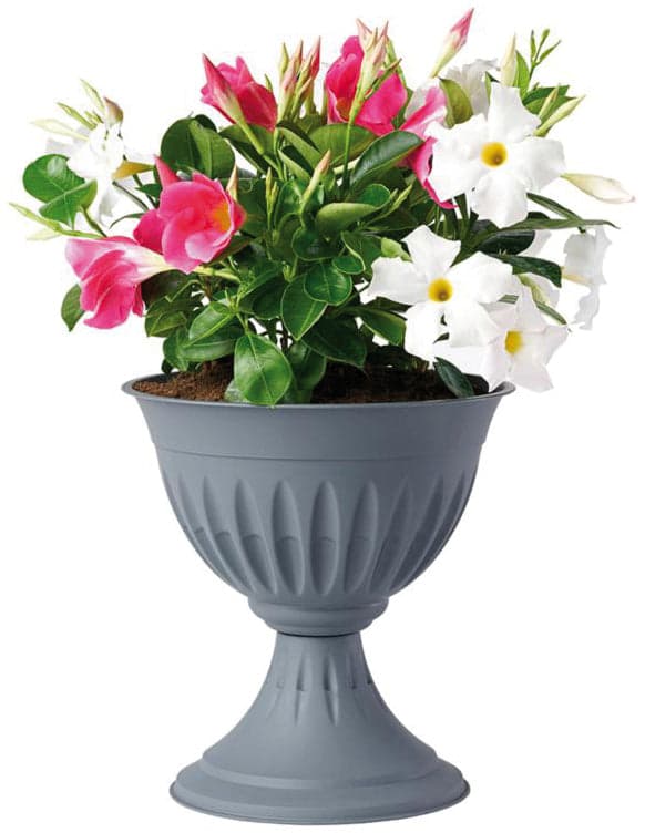 Bama Vaso A Calice Alba Col. Grigio Ø Cm. 43X46 H in Vasi BricoGo - Marano di Napoli, commercioVirtuoso.it
