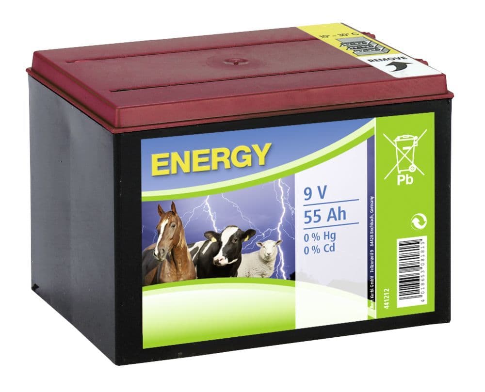 Batteria a Secco Zinco Carbonio 9 V 55 Ah