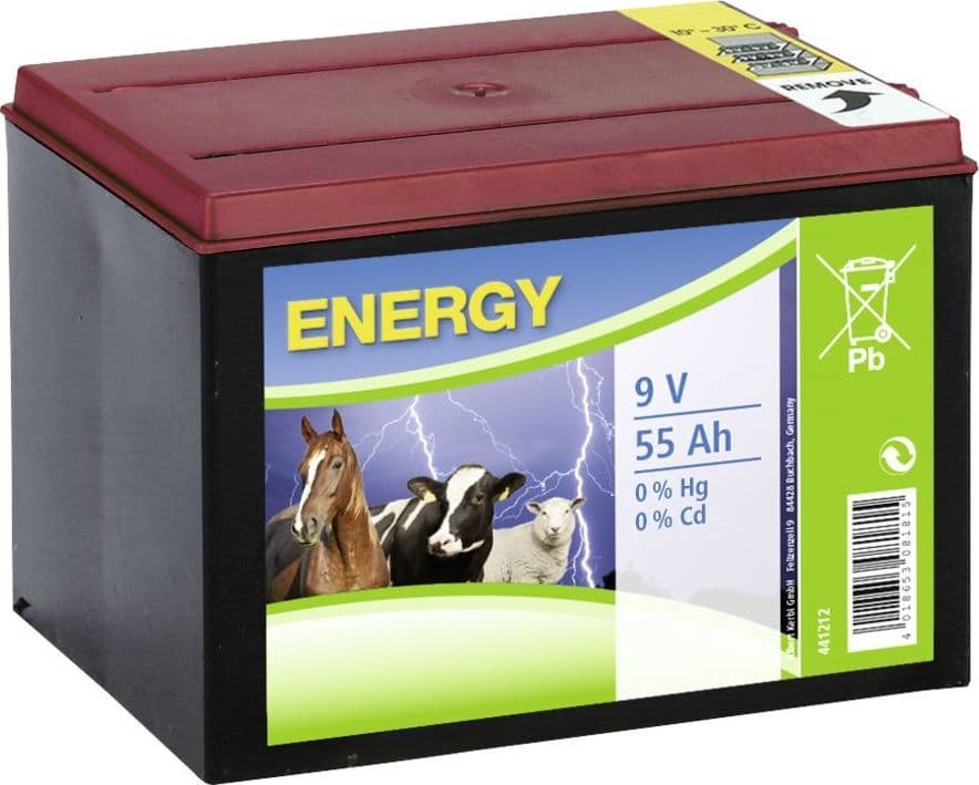 Batteria a Secco Zinco Carbonio 9 V 90 Ah