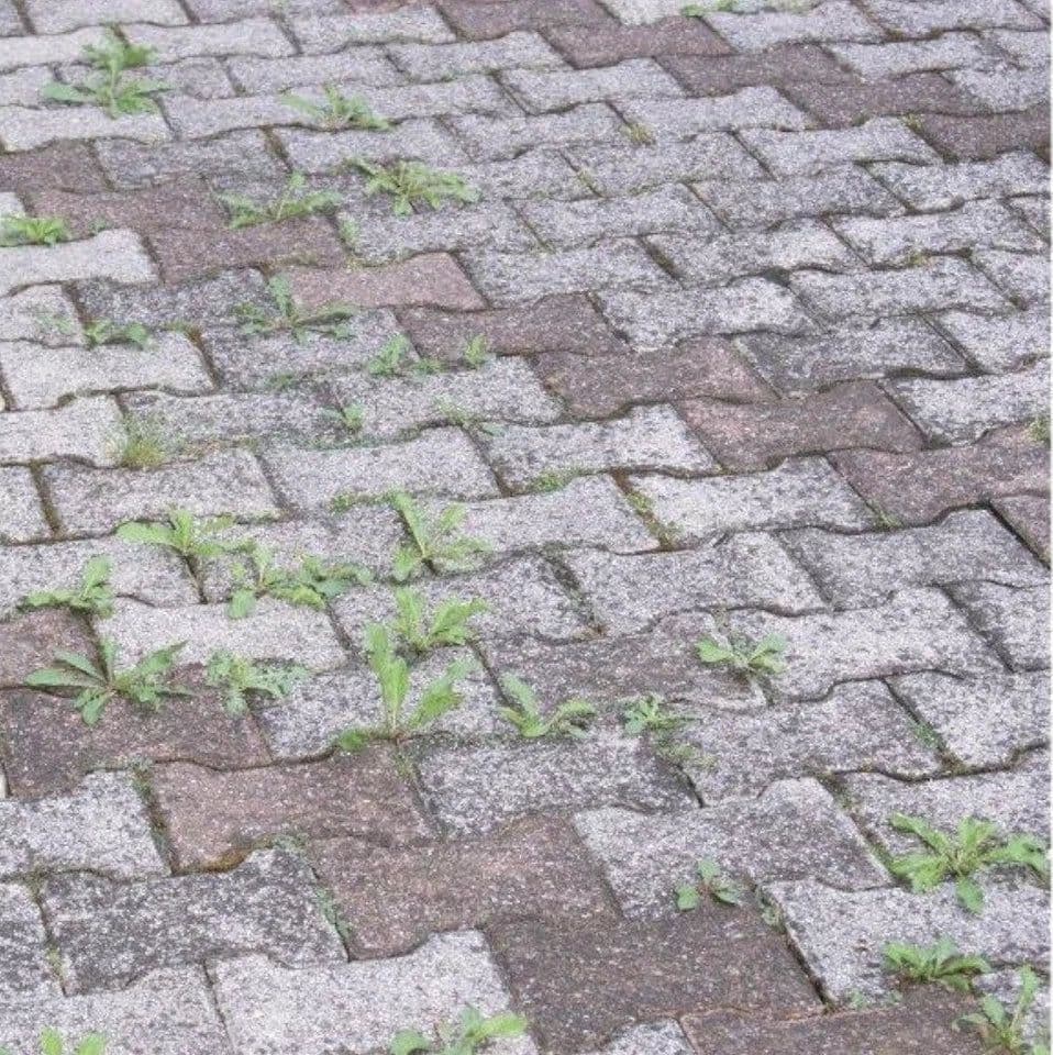Diserbante Aceto Corroborante Concentrato 1 Lt - Cisa Adriatica in Ammazza erbe infestanti BricoGo - Marano di Napoli, commercioVirtuoso.it
