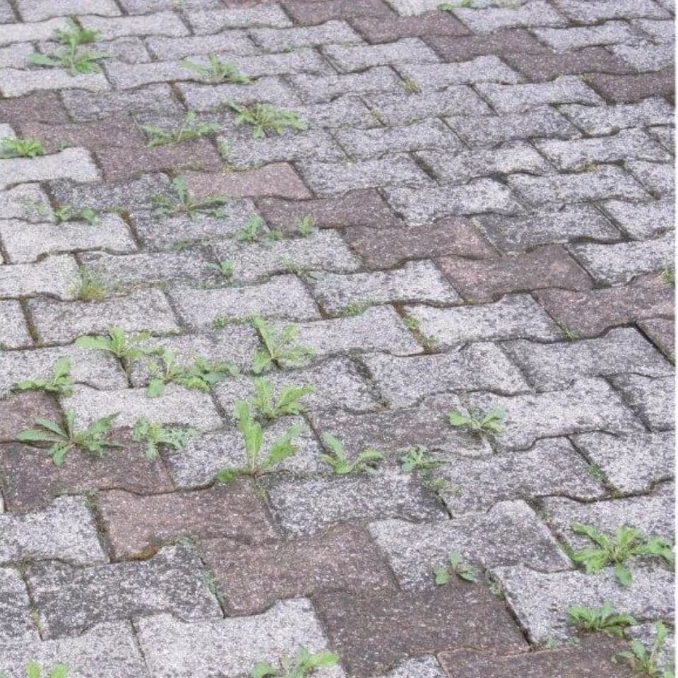 Diserbante Aceto Corroborante Concentrato 1 Lt - Cisa Adriatica in Ammazza erbe infestanti BricoGo - Marano di Napoli, commercioVirtuoso.it