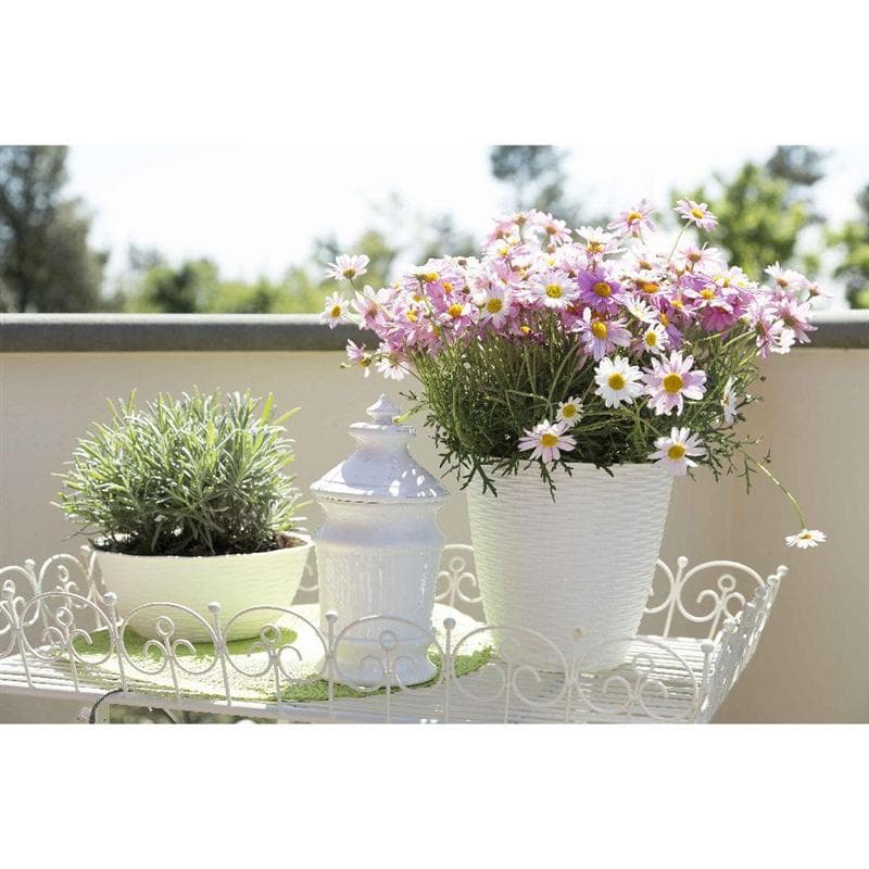 Portavaso 'Paglia' Ø 14 Cm - 1,2 Lt - Bama in Fioriere BricoGo - Marano di Napoli, commercioVirtuoso.it