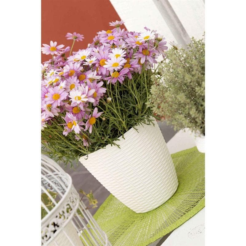 Portavaso 'Paglia' Ø 14 Cm - 1,2 Lt - Bama in Fioriere BricoGo - Marano di Napoli, commercioVirtuoso.it