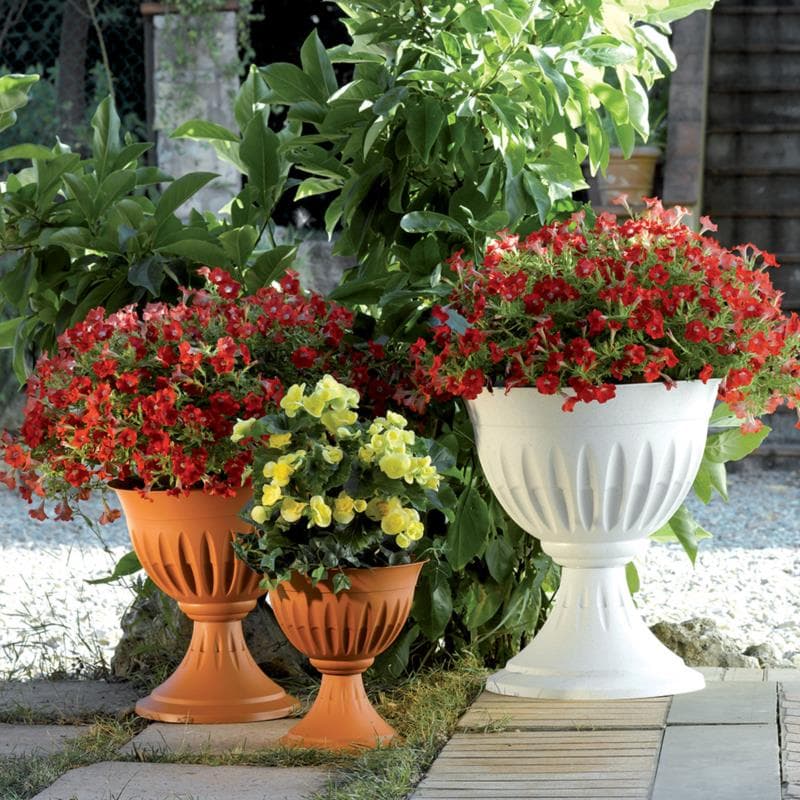 Fioriera Alba Bama - Pp Terracotta D.Cm 33 H.Cm 35- 2 Pezzi in Vasi tradizionali BricoGo - Marano di Napoli, commercioVirtuoso.it
