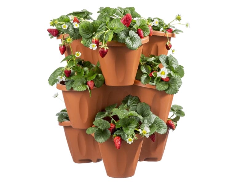 Vaso Trifoglio Bama - Pp Terracotta D.Cm 40 H.Cm 16- 3 Pezzi in Vasi tradizionali BricoGo - Marano di Napoli, commercioVirtuoso.it