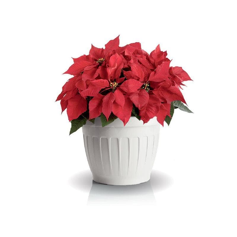 Vaso Tondo Ø 25 X H.18,5 Lt. 5,7 - Bianco - Bama in Vasi tradizionali BricoGo - Marano di Napoli, commercioVirtuoso.it