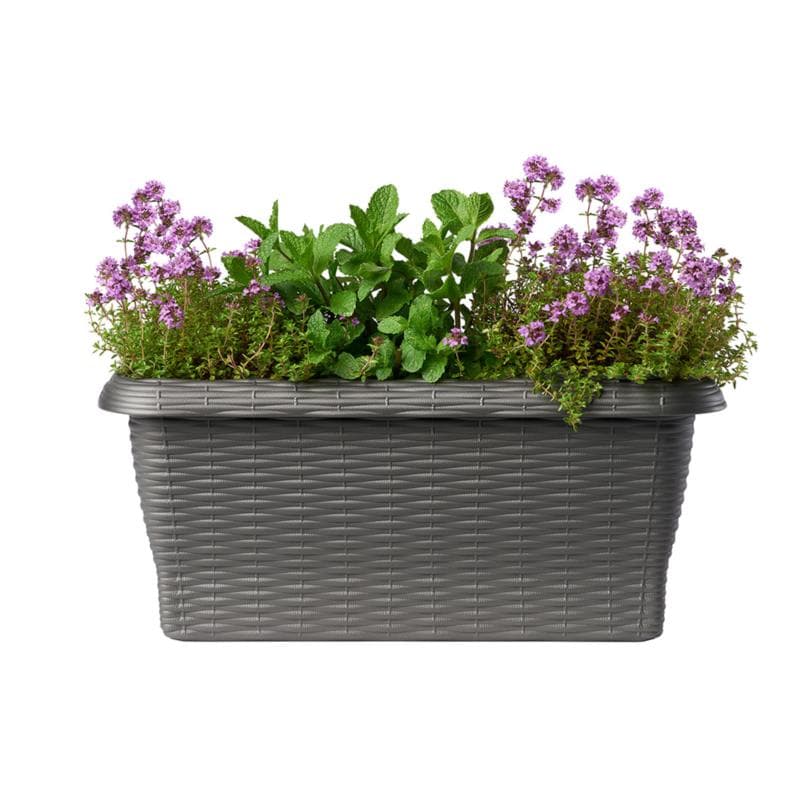 Fioriera Rettangolare 'Paglia' Cm 50X20X17,5 Lt.8,7 - Antracite - Bama in Vasi tradizionali BricoGo - Marano di Napoli, commercioVirtuoso.it