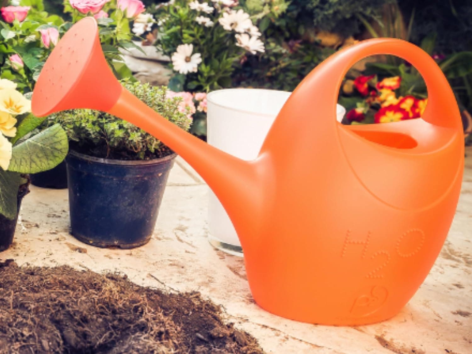 Innaffiatoio Plastica 3,5 L H2O- Ecoplast- 6,0 Pz in Annaffiatoi BricoGo - Marano di Napoli, commercioVirtuoso.it