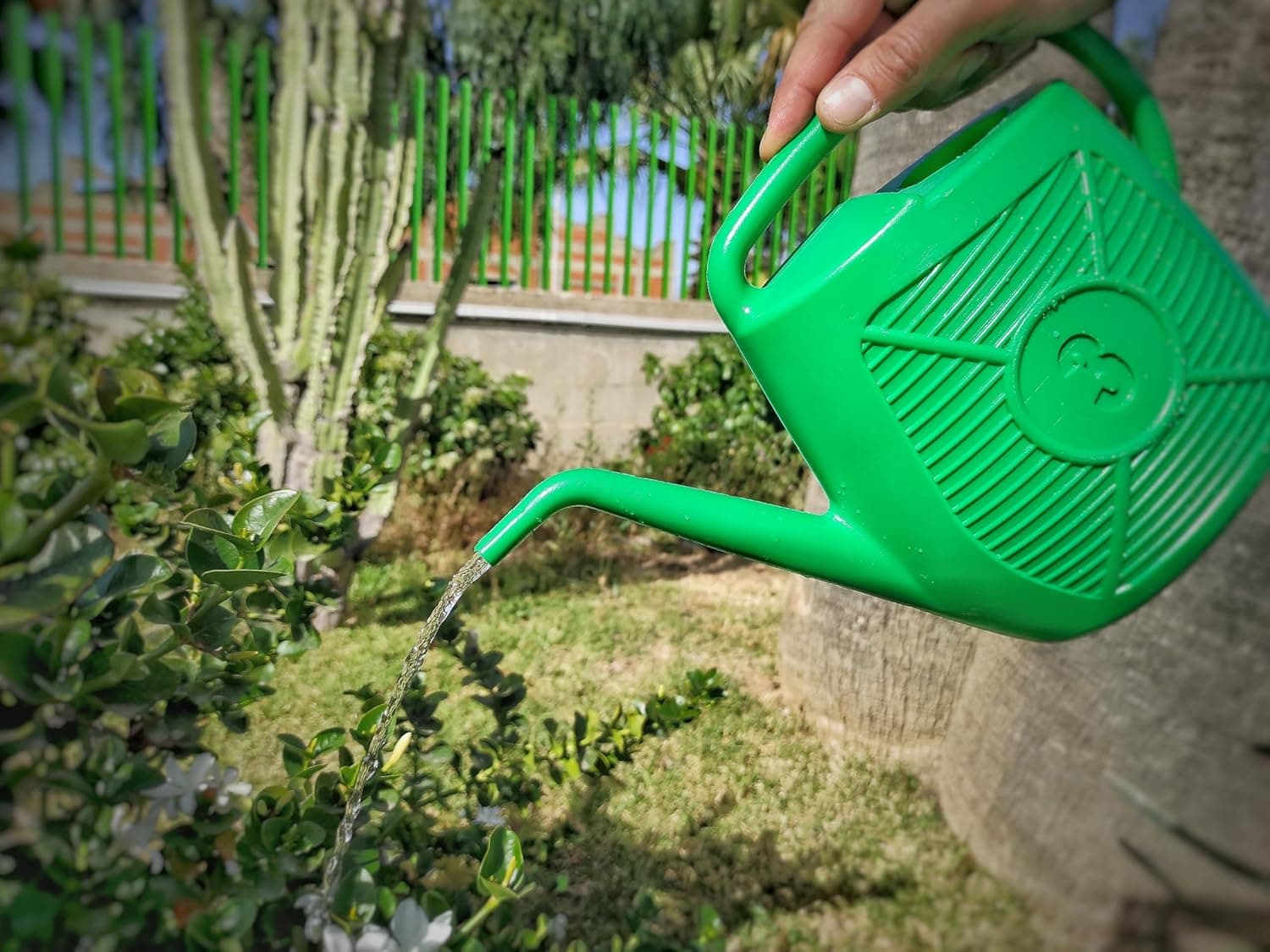 Innaffiatoio Plastica 3 L- Ecoplast- 10,0 Pz in Annaffiatoi BricoGo - Marano di Napoli, commercioVirtuoso.it