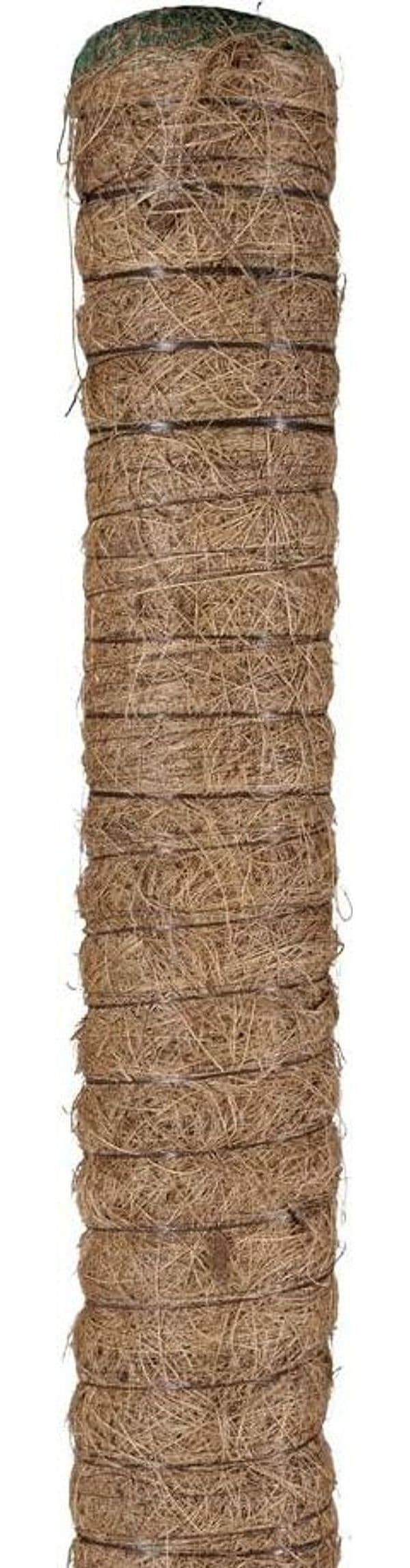 Bastone Piante Rampicanti Tutore Muschiato Con Tubo In Plastica E Fibra Di Cocco, 80 Cm in Stecche per piante BricoGo - Marano di Napoli, commercioVirtuoso.it