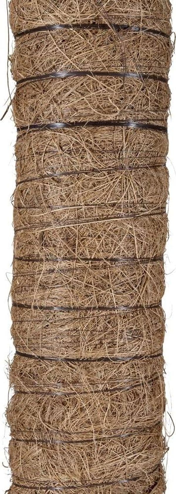 Bastone Piante Rampicanti Tutore Muschiato Con Tubo In Plastica E Fibra Di Cocco, 80 Cm in Stecche per piante BricoGo - Marano di Napoli, commercioVirtuoso.it