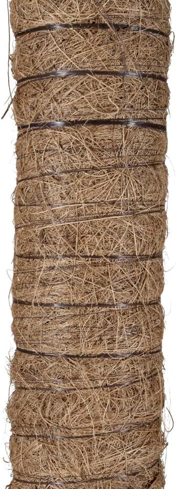 Bastone Piante Rampicanti Tutore Muschiato Con Tubo In Plastica E Fibra Di Cocco, 80 Cm in Stecche per piante BricoGo - Marano di Napoli, commercioVirtuoso.it
