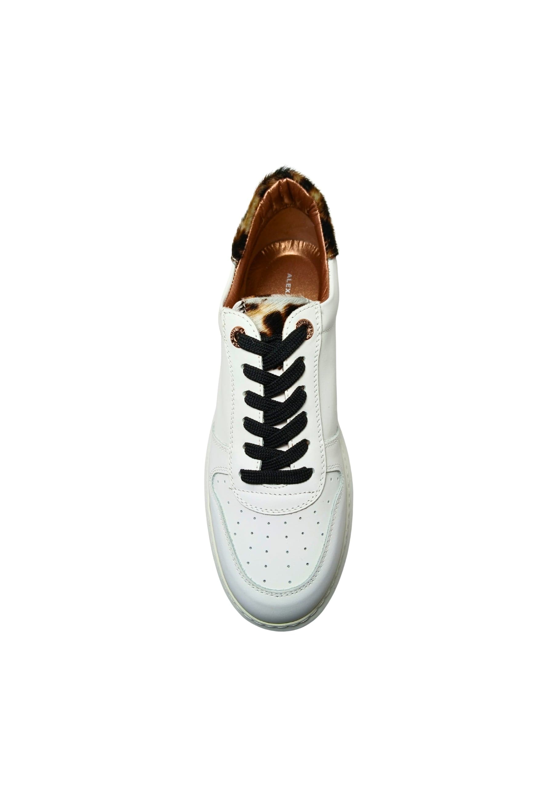 ALEXANDER SMITH Scarpe Donna Alexander Smith Sneakers Cambridge Woman, White Sand da donna in Sneaker casual Drestige - Casamassima, commercioVirtuoso.it